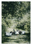Nordic Homestead